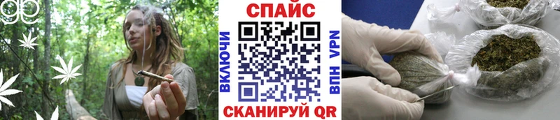 Бутират буратино  Асино 
