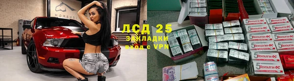 молекула духа Арсеньев