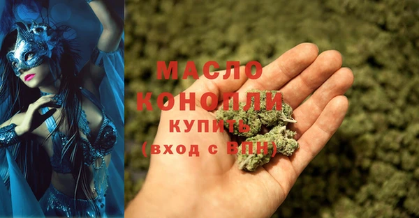 молекула духа Арсеньев
