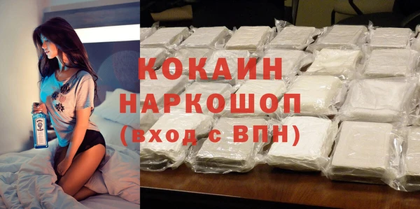 молекула духа Арсеньев