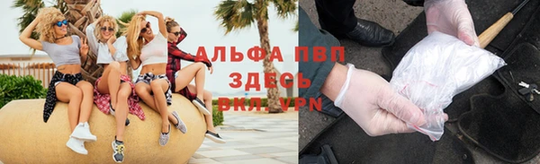 стафф Новодвинск